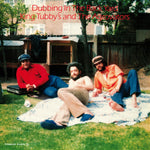 King Tubby, The Aggrovators - Dubbing In The Back Yard Vinyl LP album cover