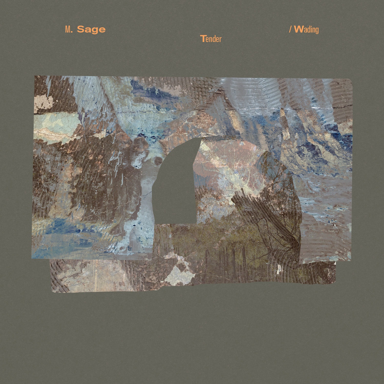 Matthew Sage - Tender / Wading Vinyl LP album cover