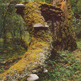 Jan Jelinek - Kosmischer Pitch Vinyl LP album cover