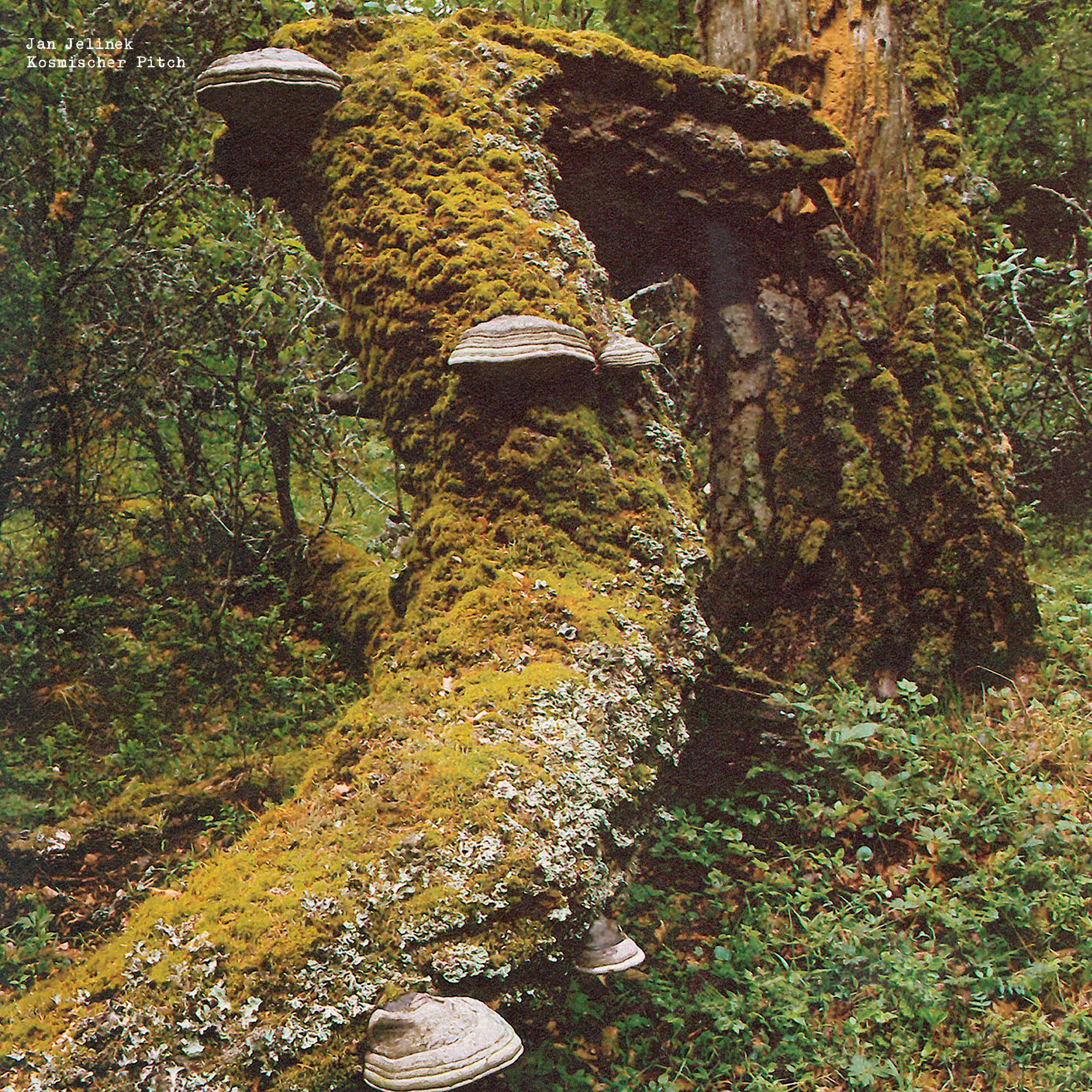 Jan Jelinek - Kosmischer Pitch Vinyl LP album cover