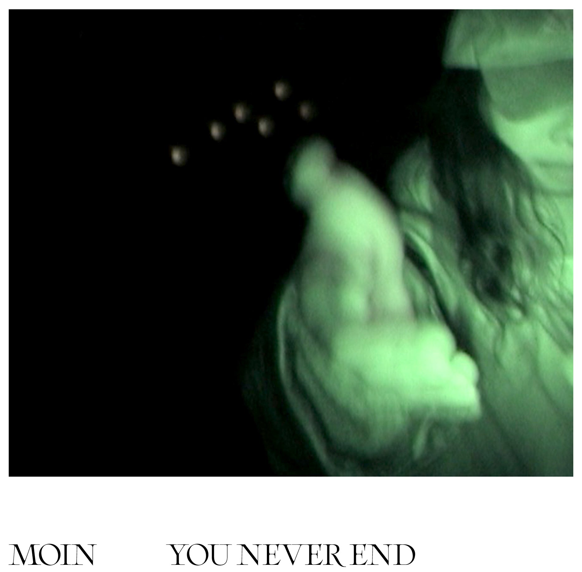Moin - You Never End Vinyl LP album cover