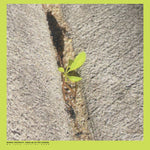 Booker Stardrum - Close-up On The Outside Vinyl LP album cover