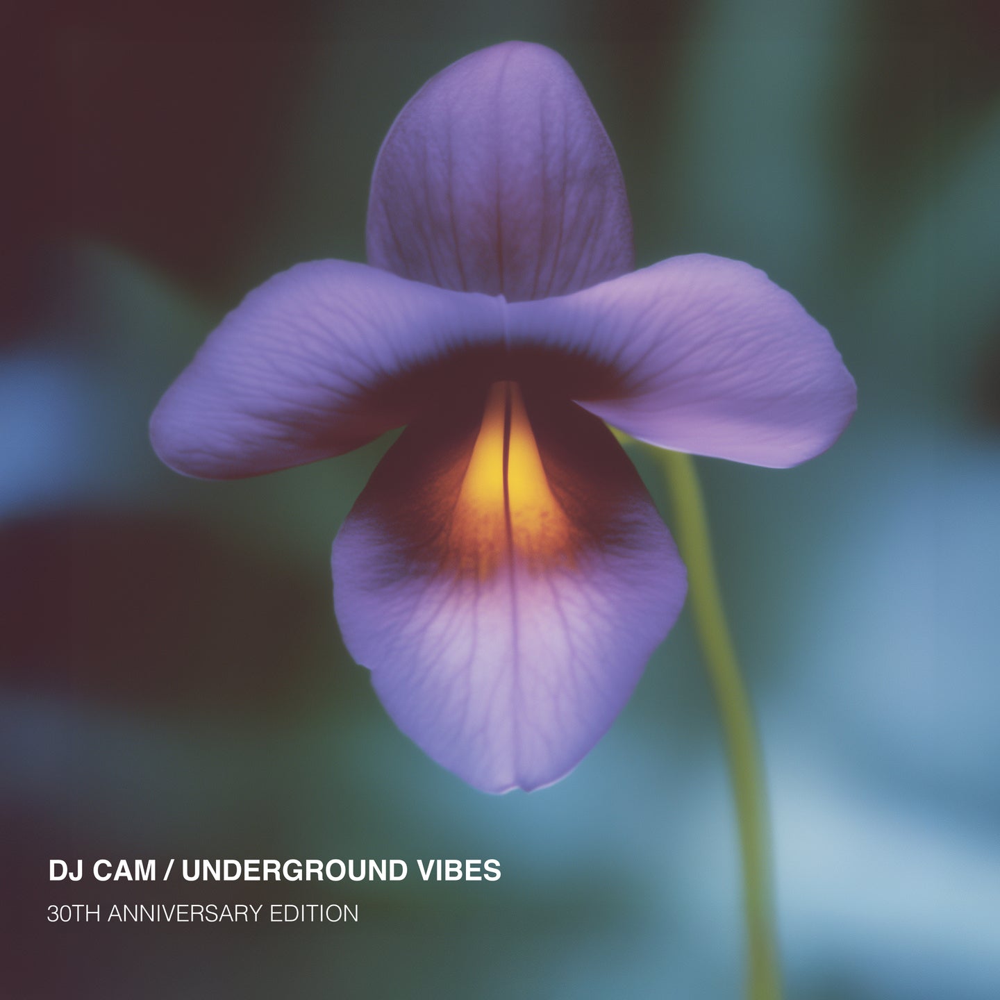 Album Cover of DJ Cam - Underground Vibes (30th Anniversary Edition) Vinyl LP on Attytude Records