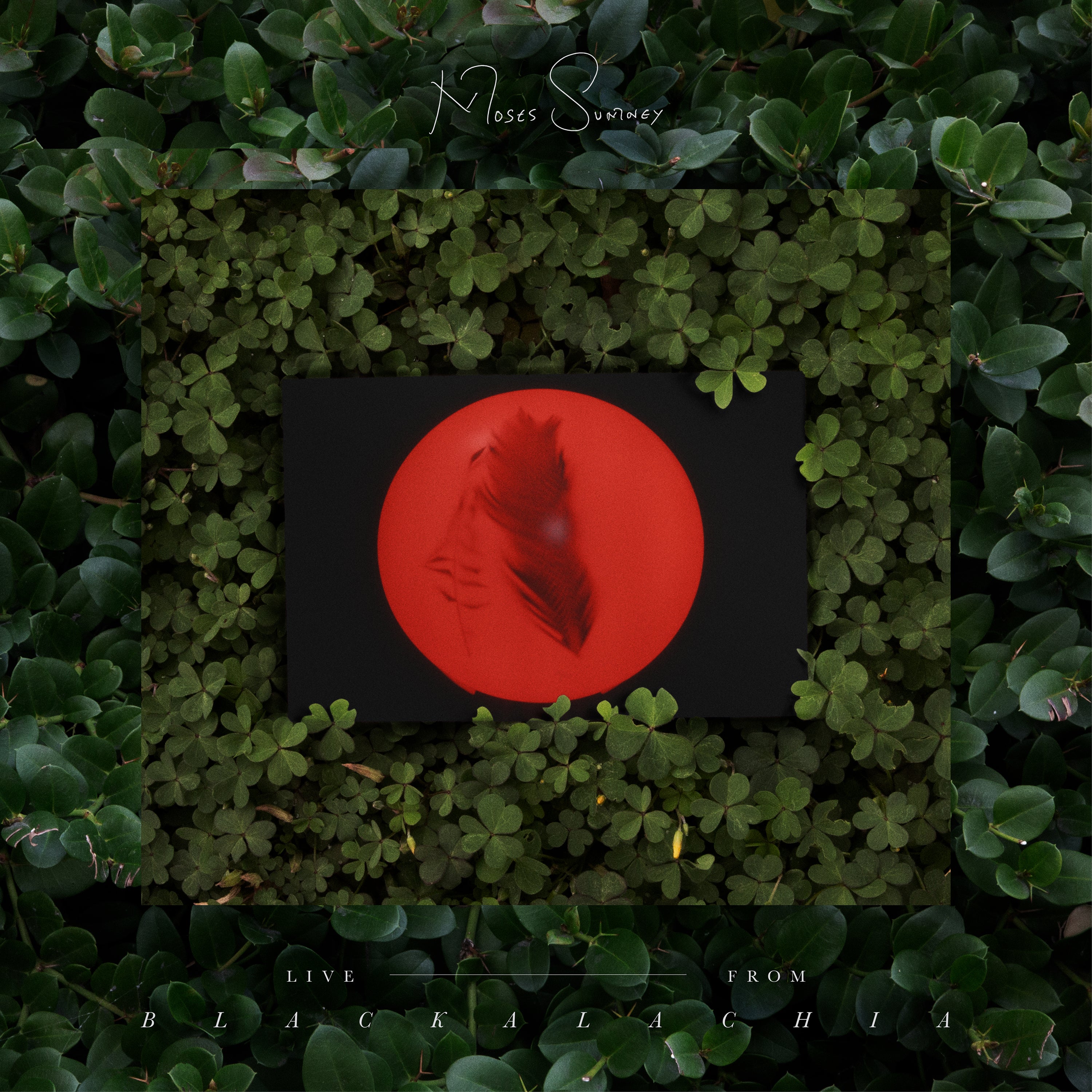 Moses Sumney - Live From Blackalachia Vinyl 2LP album cover