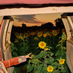 Kevin Morby - Little Wide Open Vinyl LP album cover