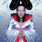 Björk - Homogenic Cassette Tape album cover