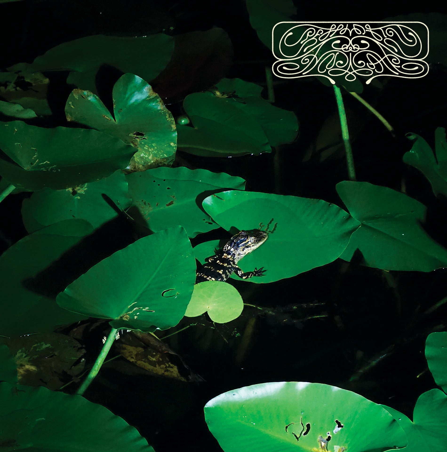 Crespi Drum Syndicate - Colada Talk Vinyl LP album cover