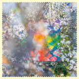 Four Tet - Sixteen Oceans Vinyl 2LP album cover