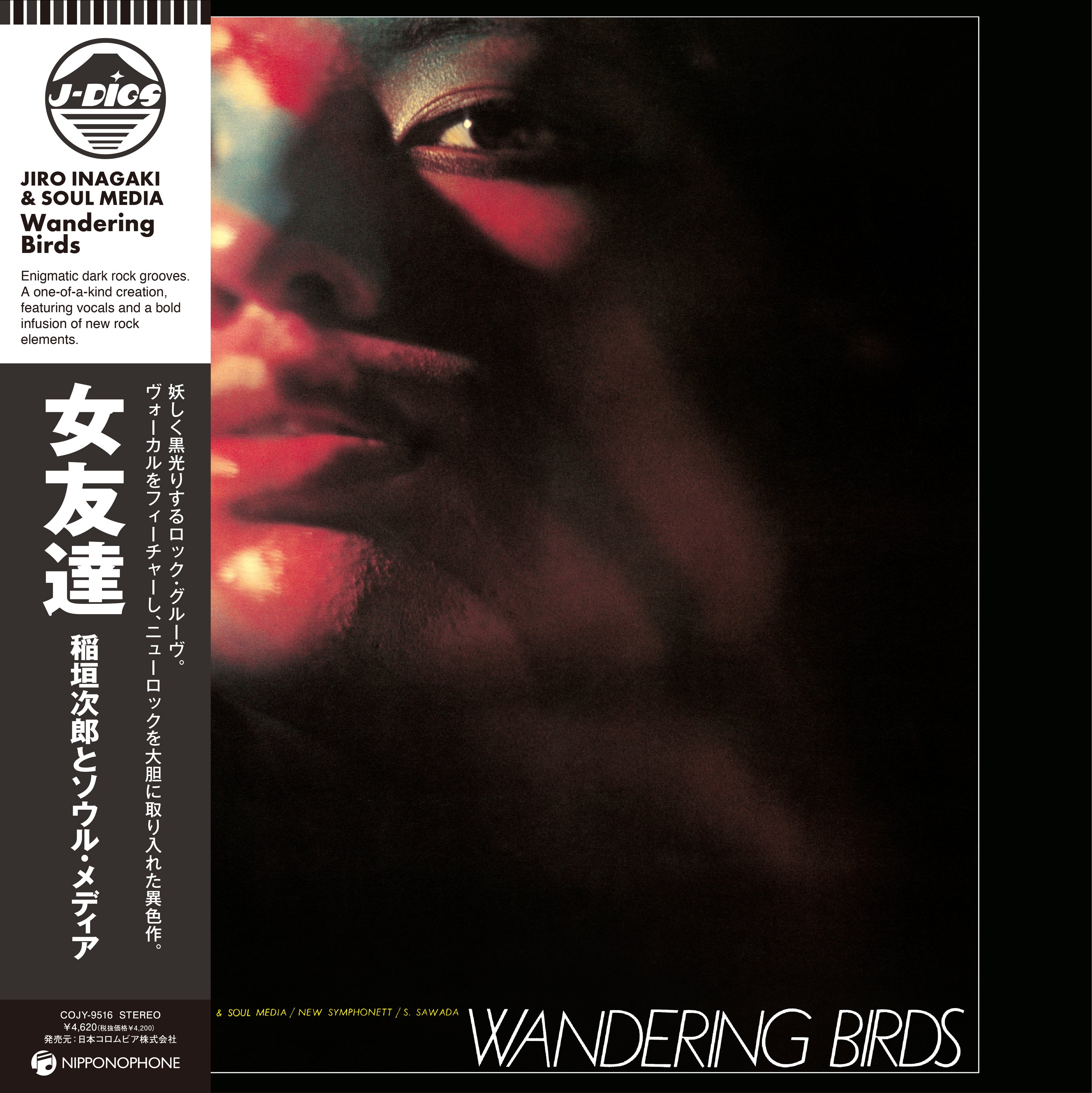 Jiro Inagaki & Soul Media - Wandering Birds Vinyl LP album cover