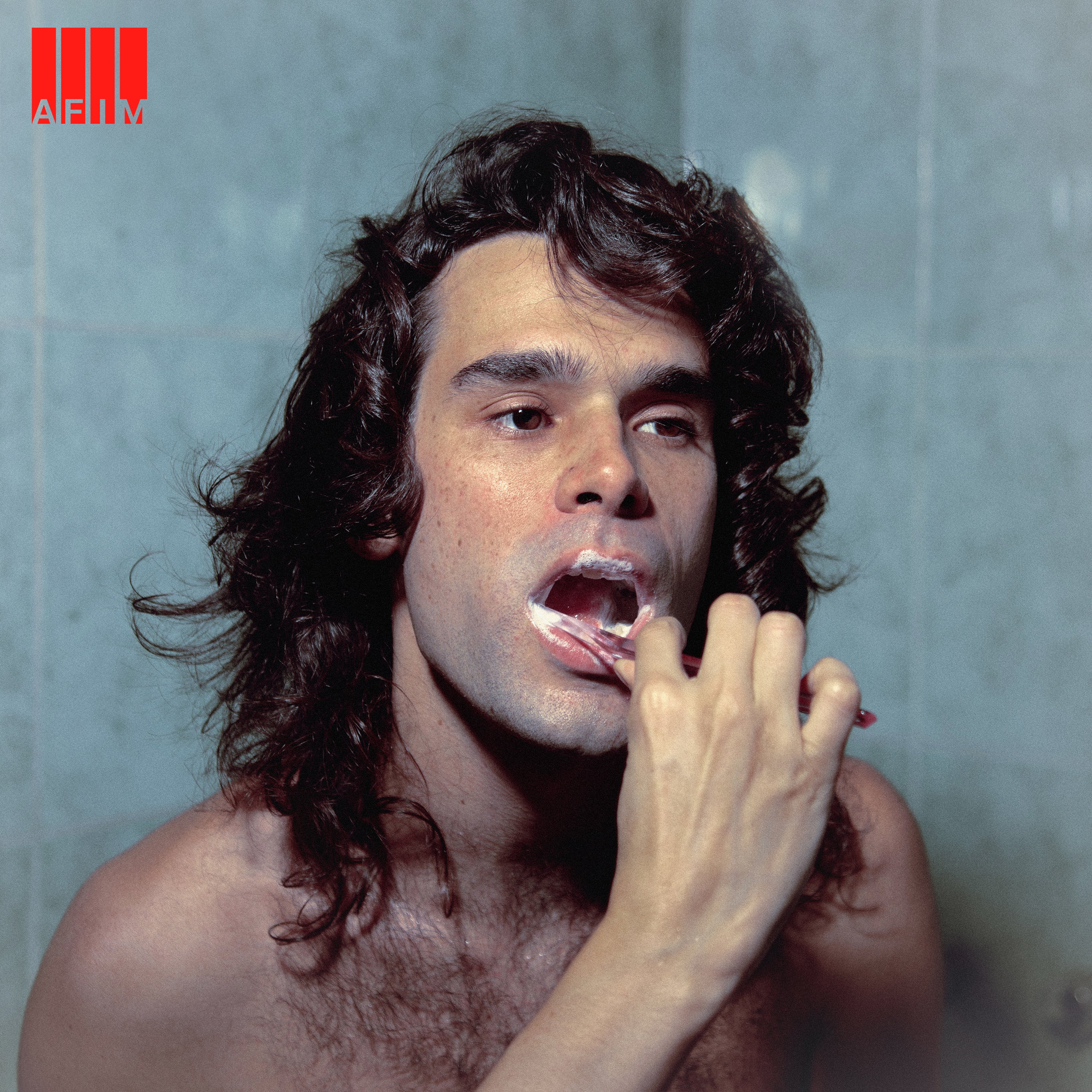 Zé Ibarra - Afim Vinyl LP album cover