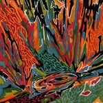 Akusmi - Terra Incognita Vinyl LP album cover