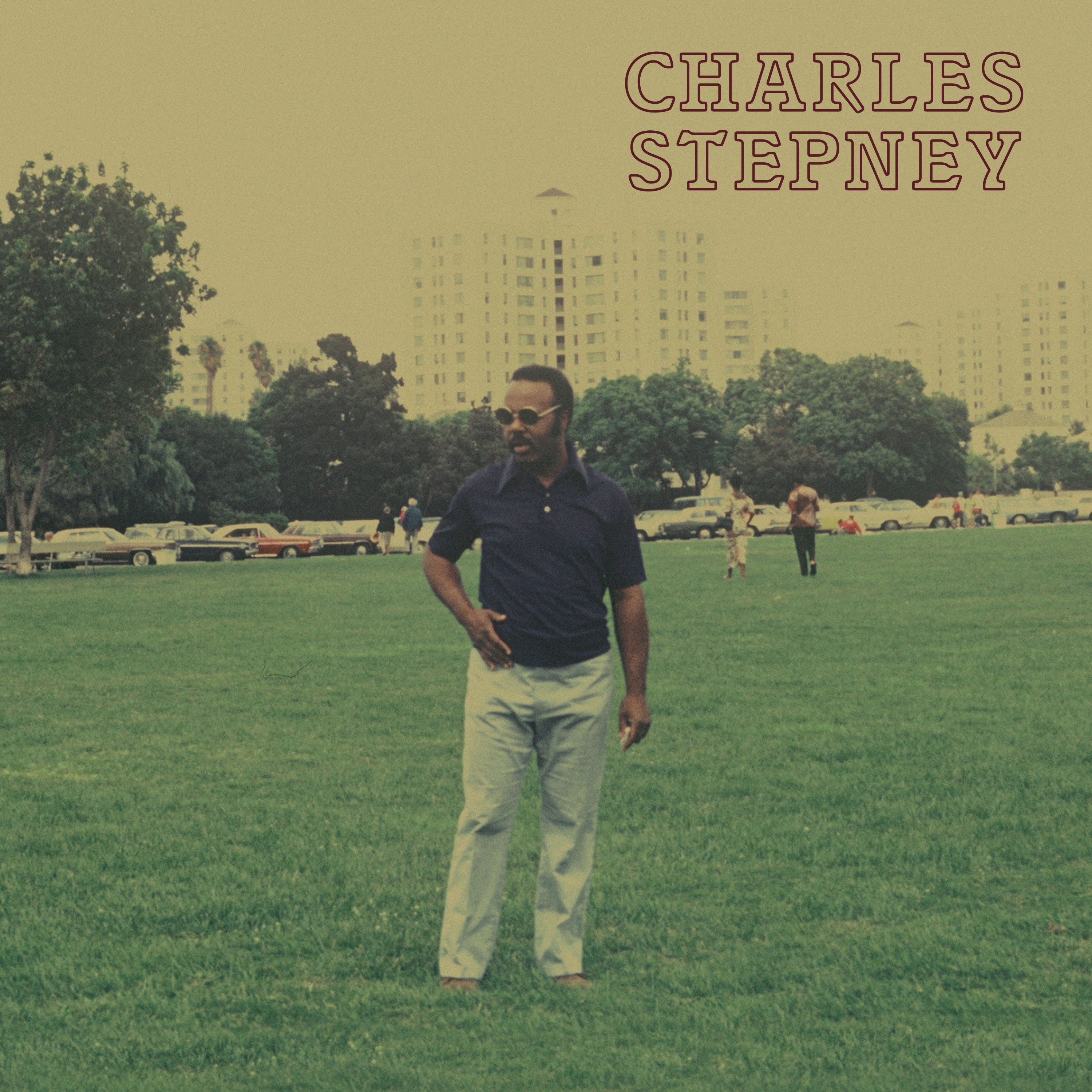Charles Stepney - Step On Step Vinyl 2LP album cover