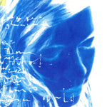 lovesliescrushing - Bloweyelashwish Vinyl 2LP album cover