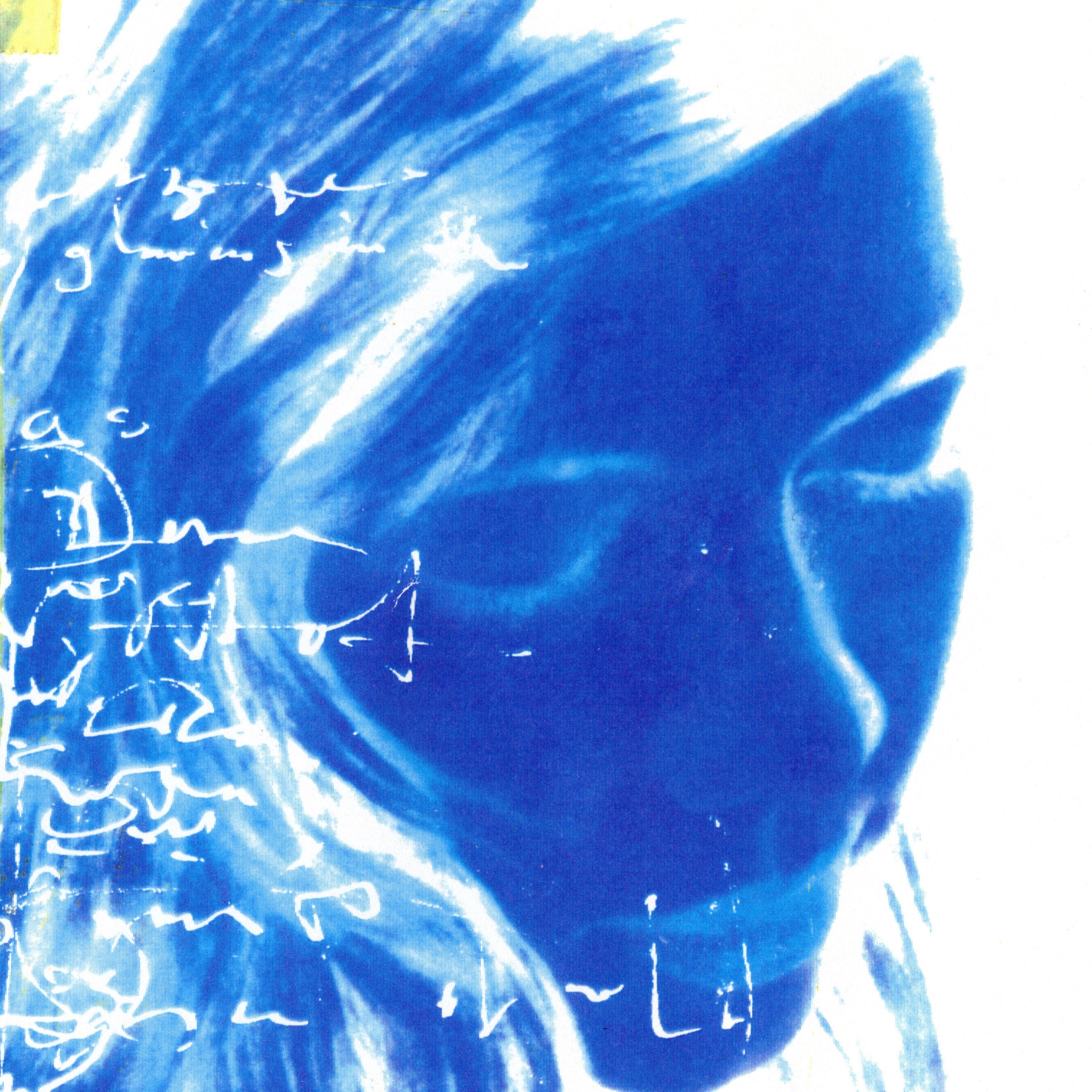 lovesliescrushing - Bloweyelashwish Vinyl 2LP album cover
