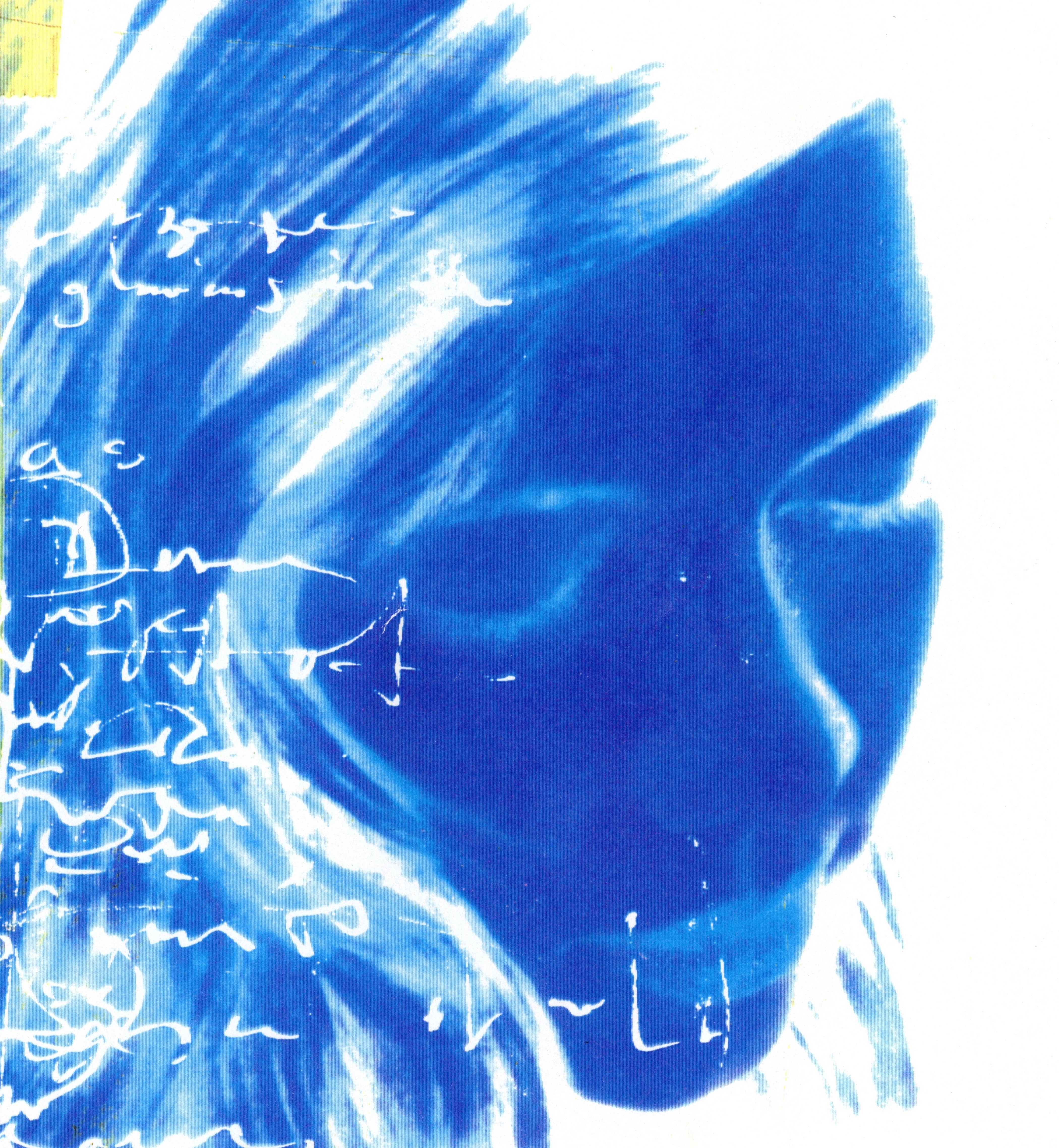 lovesliescrushing - Bloweyelashwish Vinyl 2LP album cover