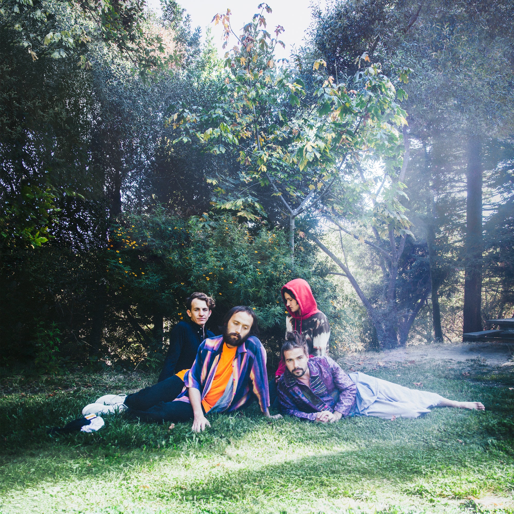 Big Thief - U.F.O.F. Vinyl LP album cover