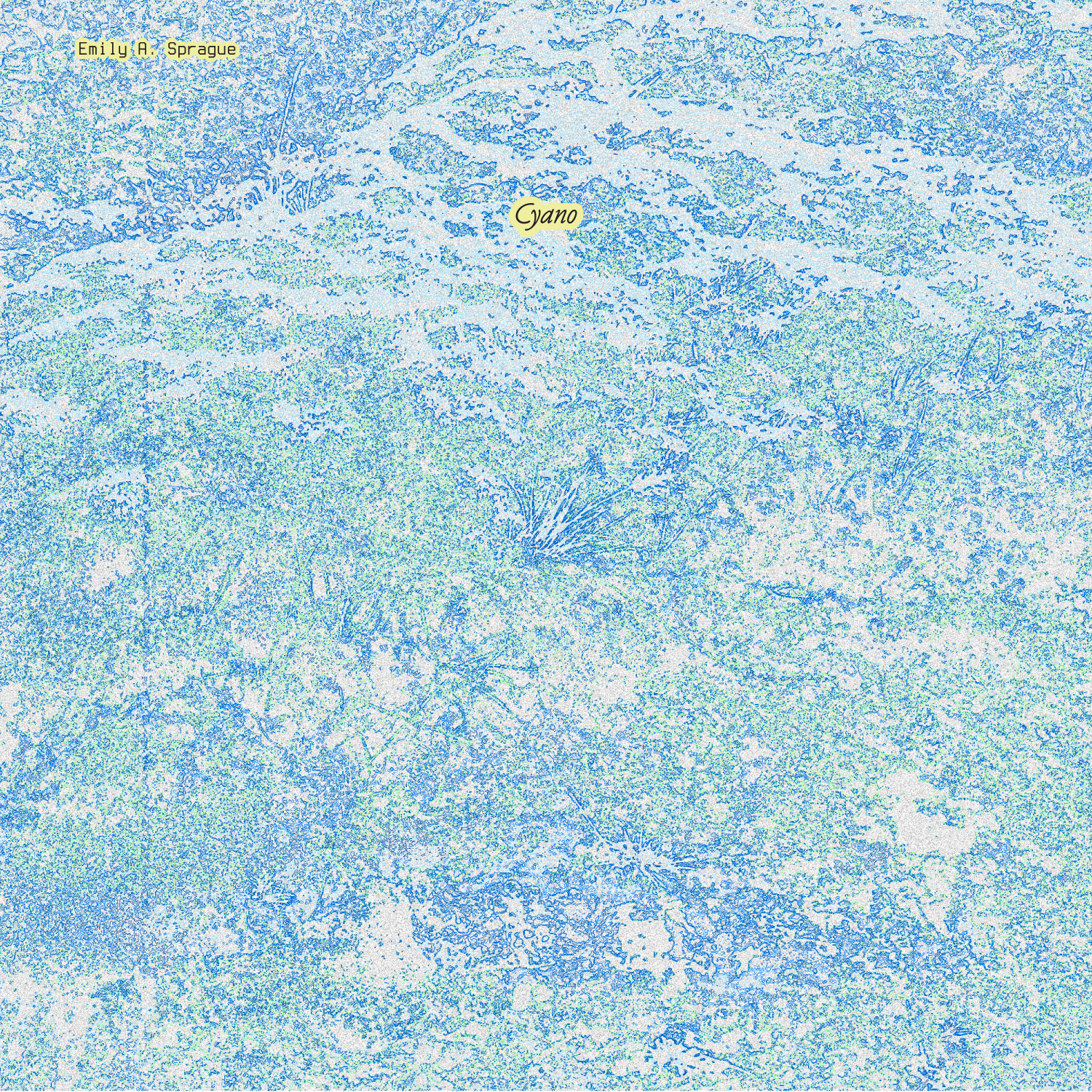 Emily Sprague - Cyano (Indie Exclusive Blue Vinyl) Vinyl LP album cover