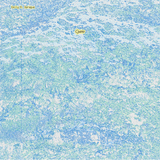 Emily Sprague - Cyano (Indie Exclusive Blue Vinyl) Vinyl LP album cover