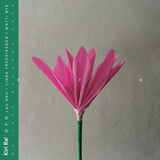 Kiri Ra! - nen Vinyl LP album cover