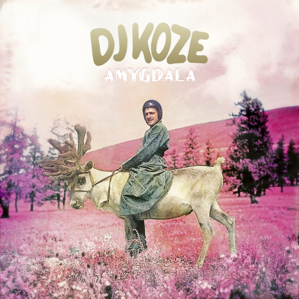 Album Cover of DJ Koze - Amygdala Vinyl 2LP on Pampa Records