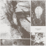 Park Jiha - All Living Things Vinyl LP album cover