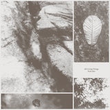 Park Jiha - All Living Things Vinyl LP album cover