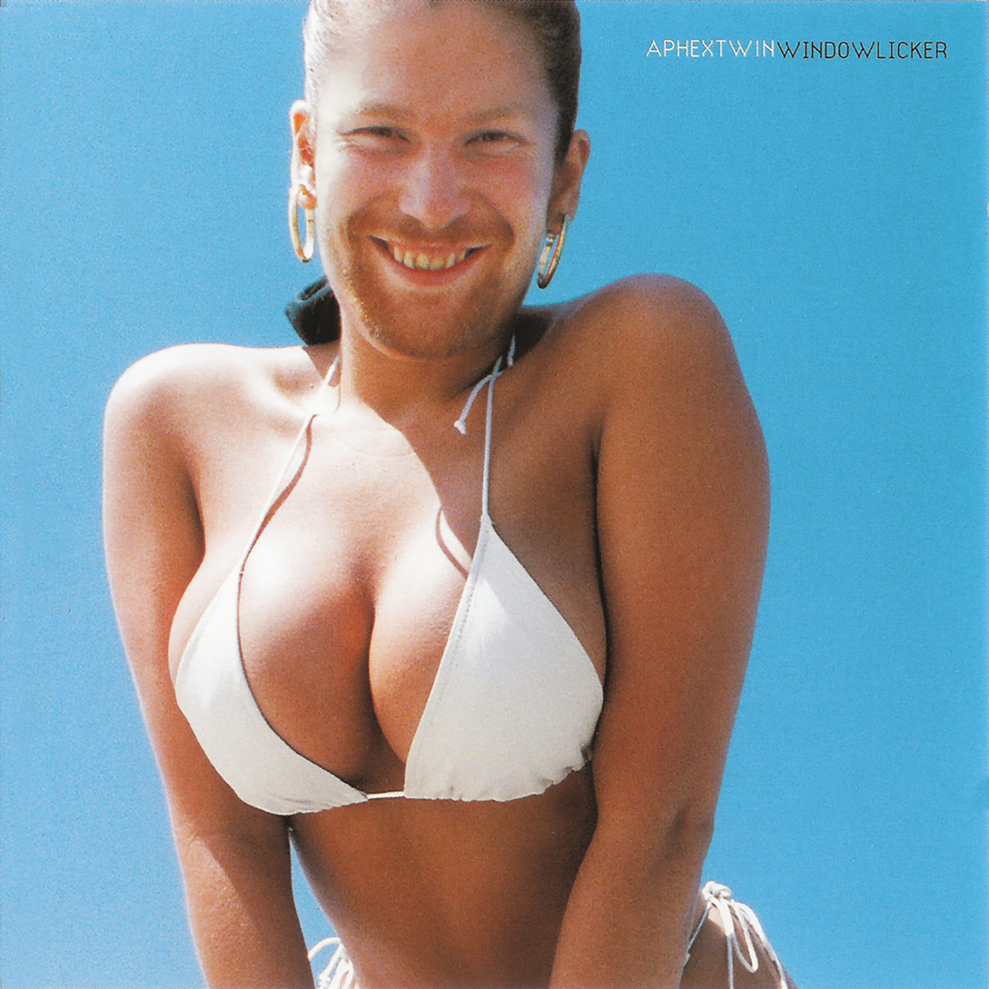 Aphex Twin - Windowlicker Vinyl LP album cover