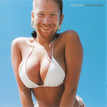 Aphex Twin - Windowlicker Vinyl LP album cover