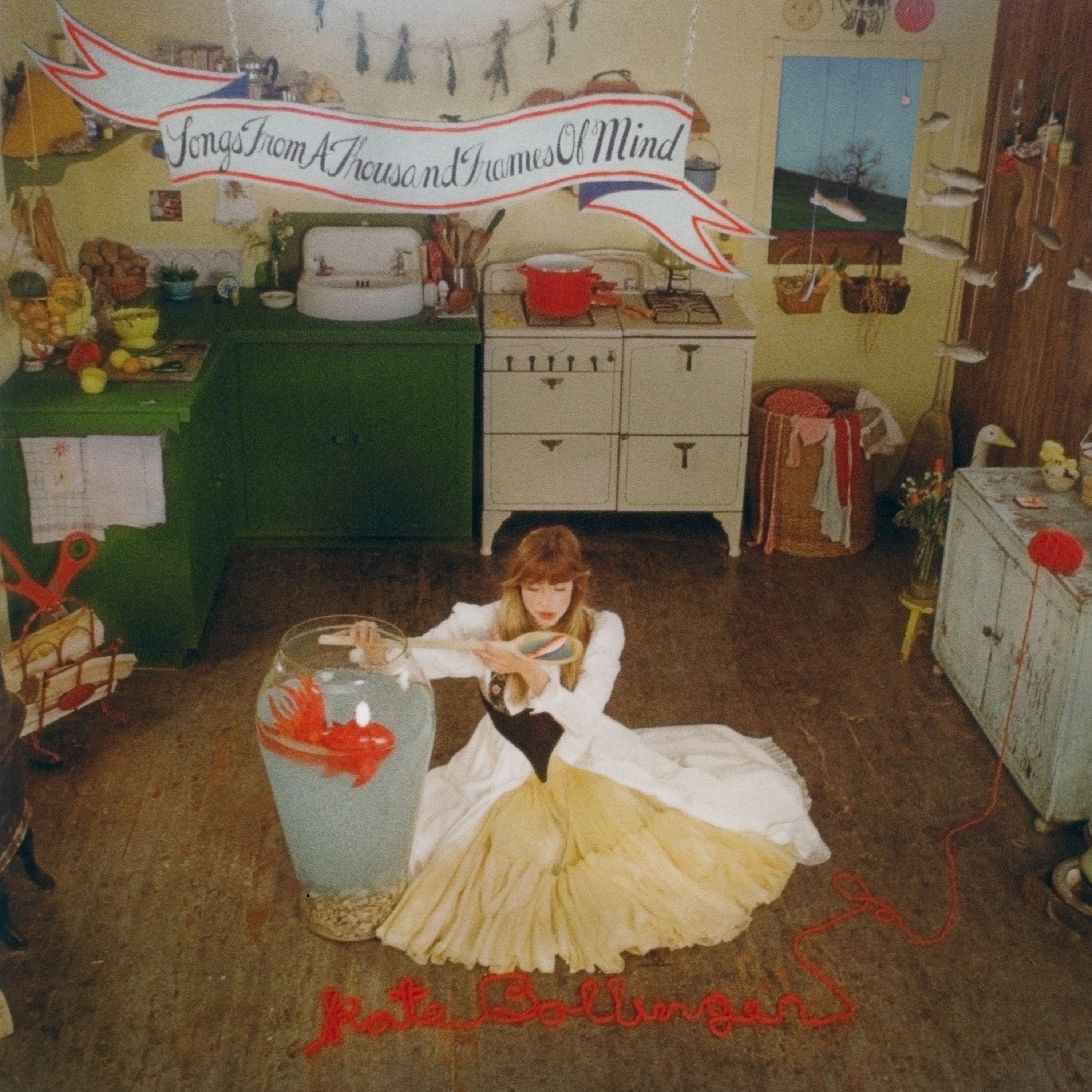 Kate Bollinger - Songs From A Thousand Frames Of Mind Vinyl LP album cover