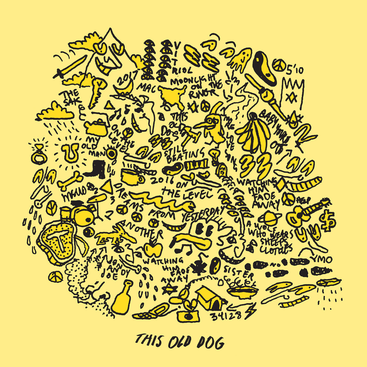 Mac Demarco - This Old Dog Cassette Tape album cover