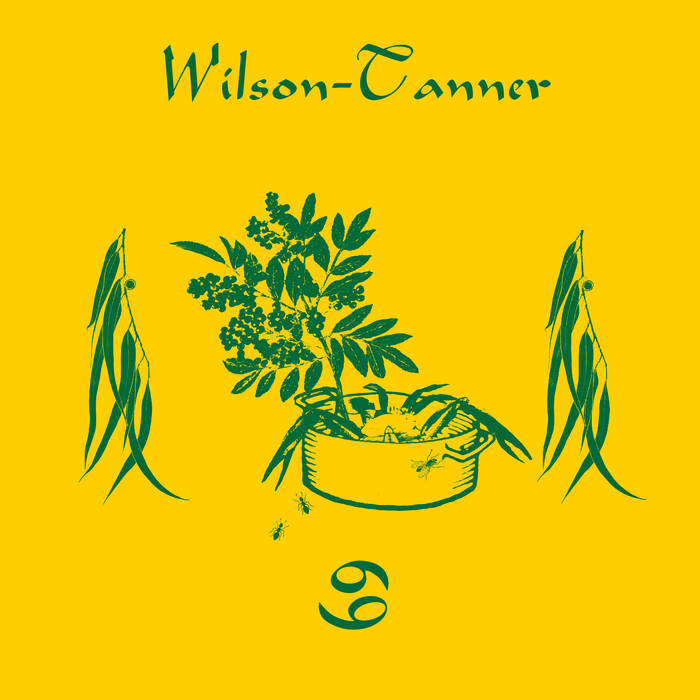 Album Cover of Wilson Tanner - 69 Vinyl LP on Efficient Space