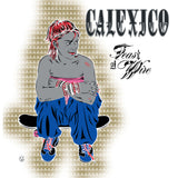 Calexico - Feast Of Wire Vinyl 2LP