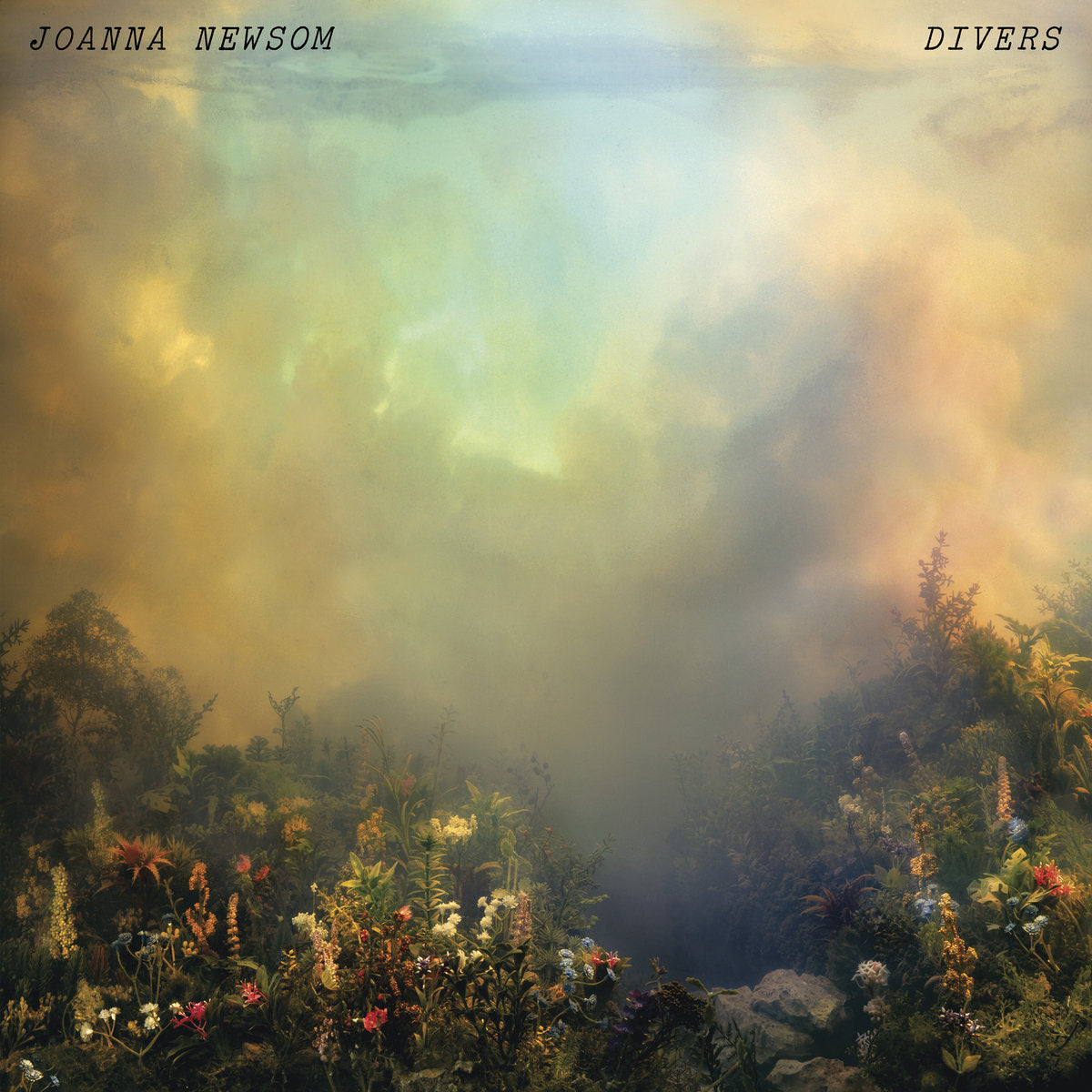 Joanna Newsom - Divers Vinyl 2LP album cover