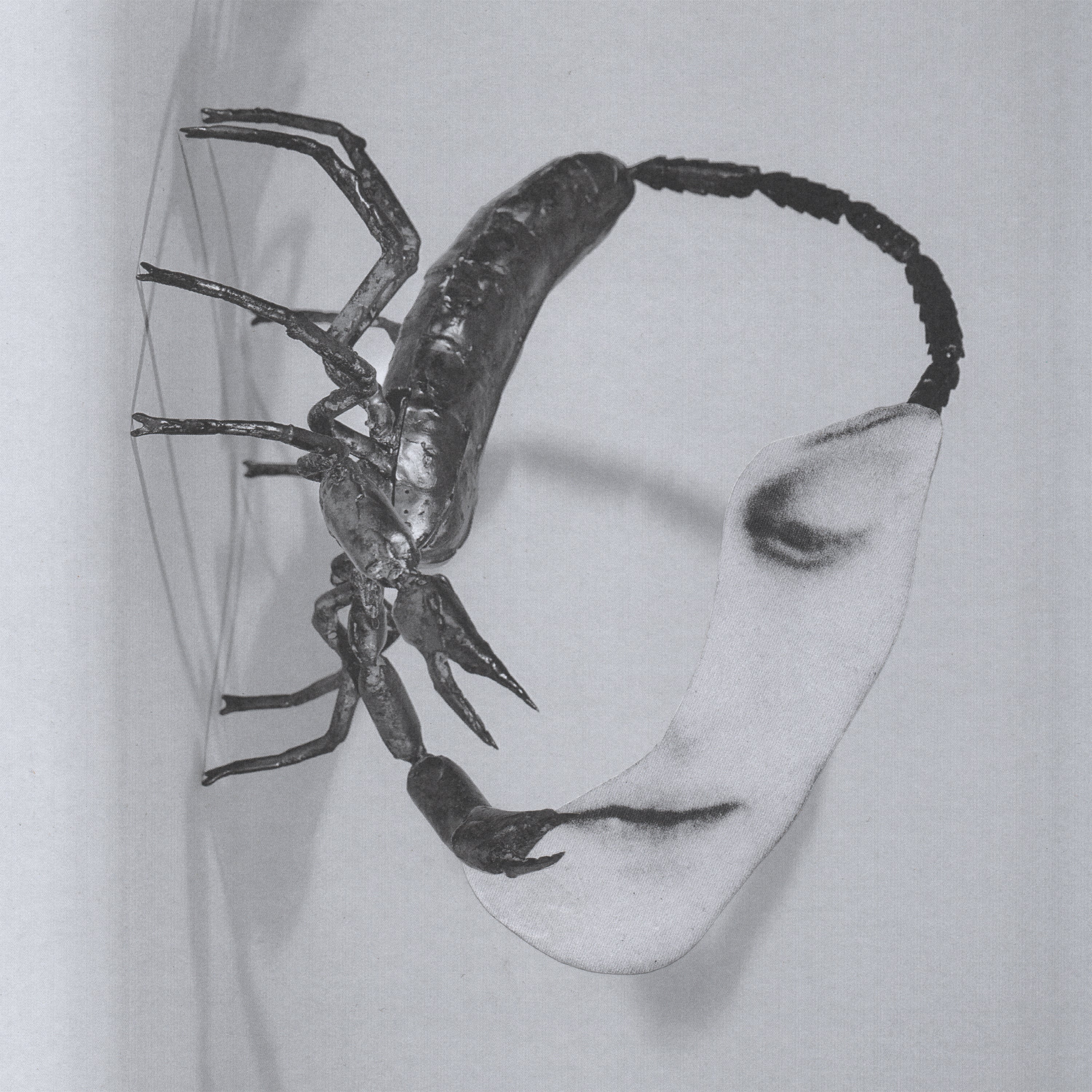 Tortoise - Touch Vinyl LP album cover