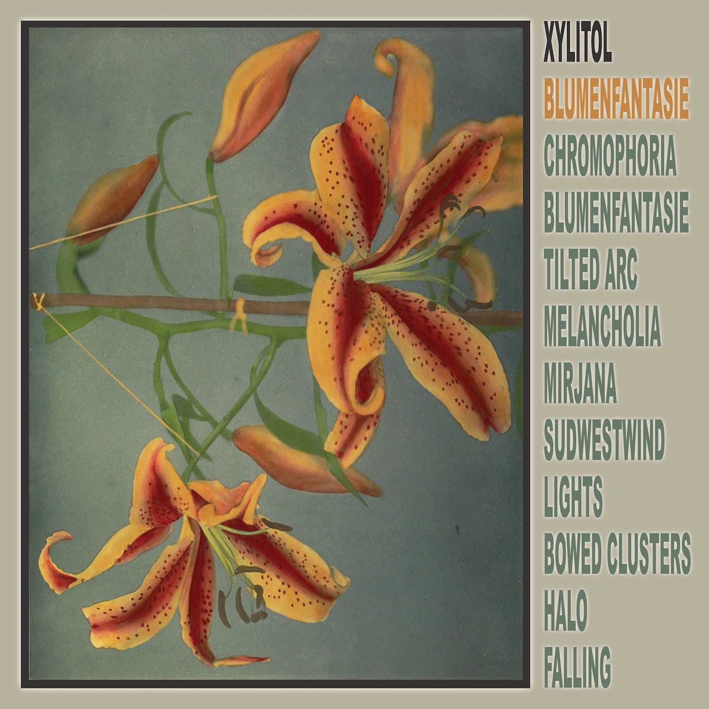 Xylitol - Blumenfantasie Vinyl LP album cover