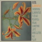 Xylitol - Blumenfantasie Vinyl LP album cover