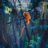 Bonnie "Prince" Billy - We Are Together Again Vinyl LP album cover