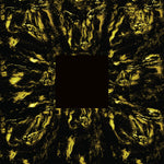hoavi - Architectonics Vinyl LP album cover