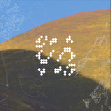 Various - Staying (Leaving Records Aid To Artists Impacted By The Los Angeles Wildfires) Vinyl 2LP album cover