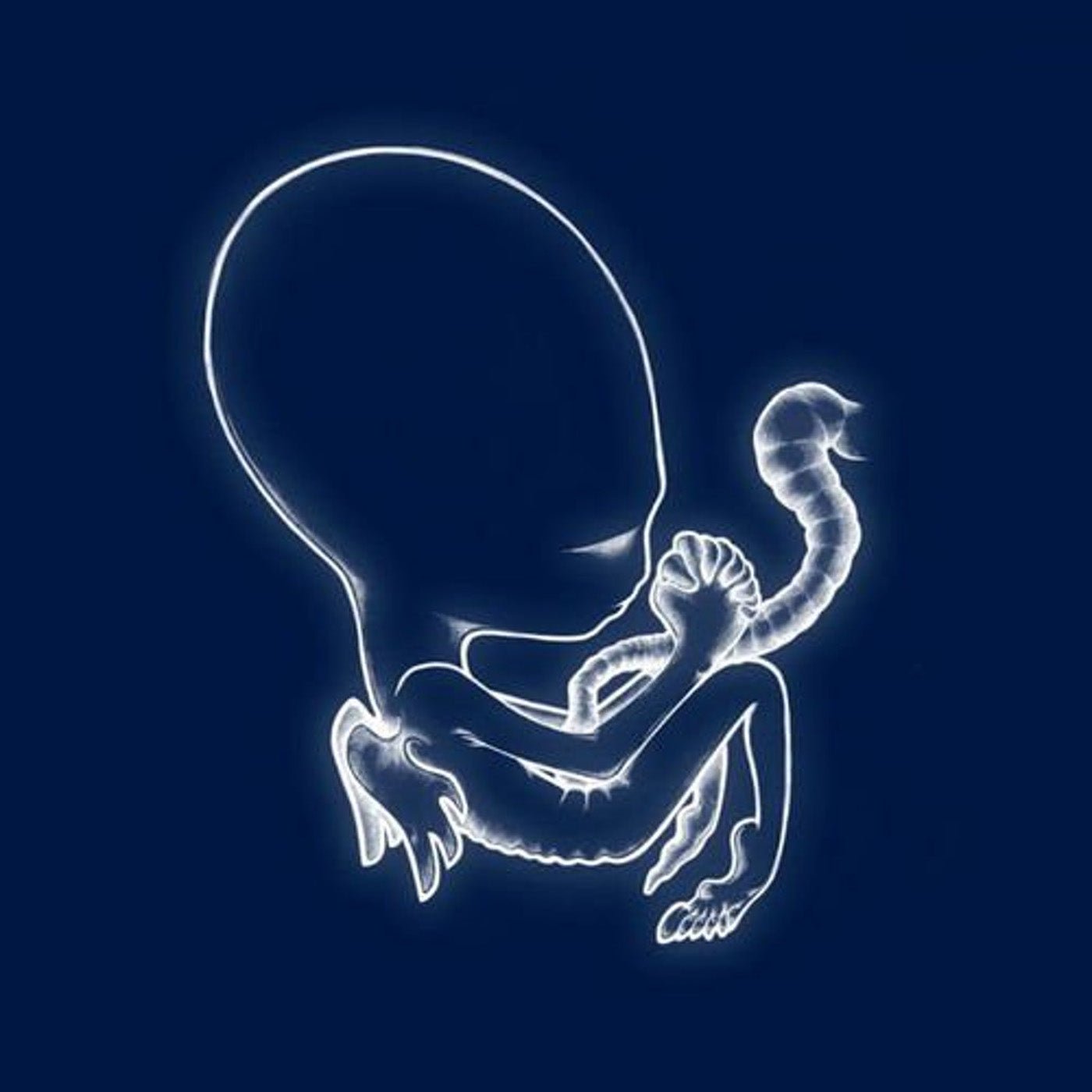 Sigur Rós - Ágætis Byrjun Vinyl 2LP album cover