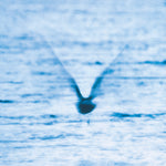 Ryo Fukui - Mellow Dream Vinyl LP album cover
