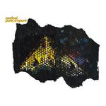 Seefeel - Pure, Impure Vinyl 2LP album cover