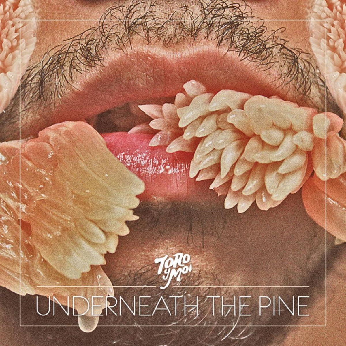 Toro Y Moi - Underneath The Pine Vinyl LP album cover