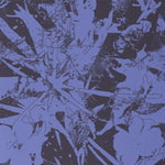 Plants Heal - Forest Dwellers Vinyl LP album cover