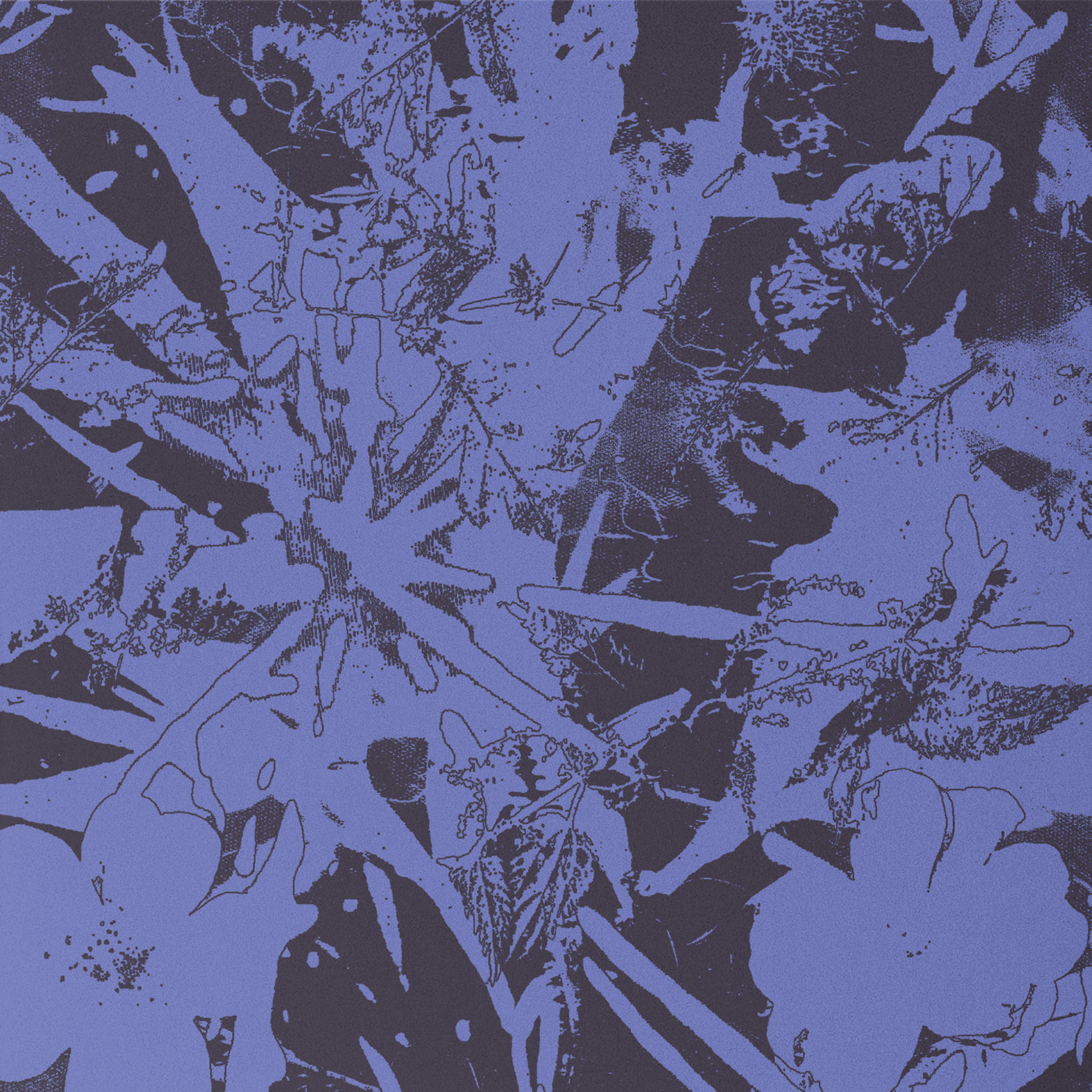 Plants Heal - Forest Dwellers Vinyl LP album cover