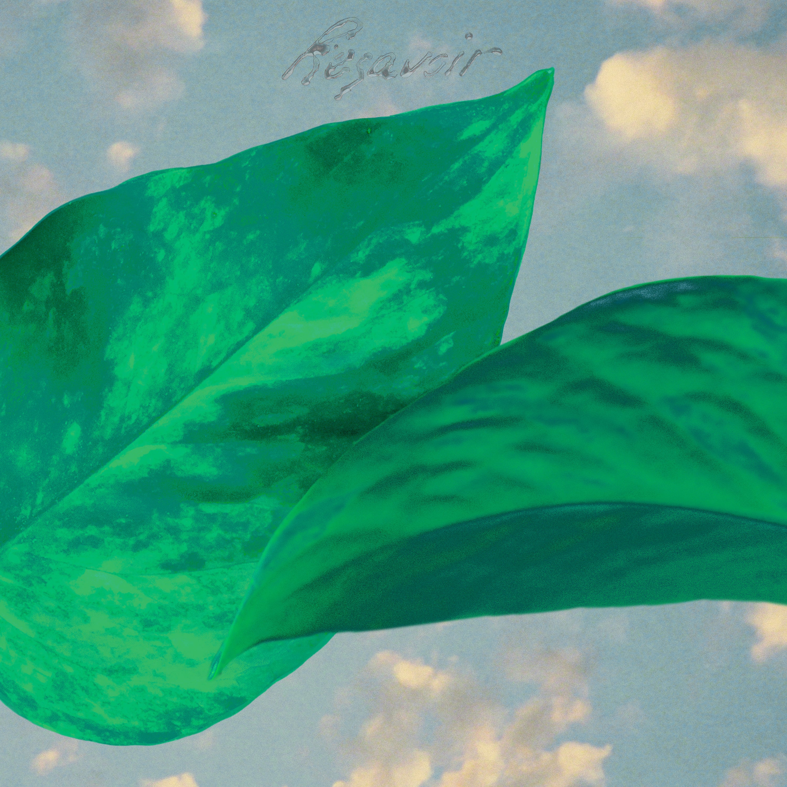 Resavoir - Resavoir Vinyl LP album cover
