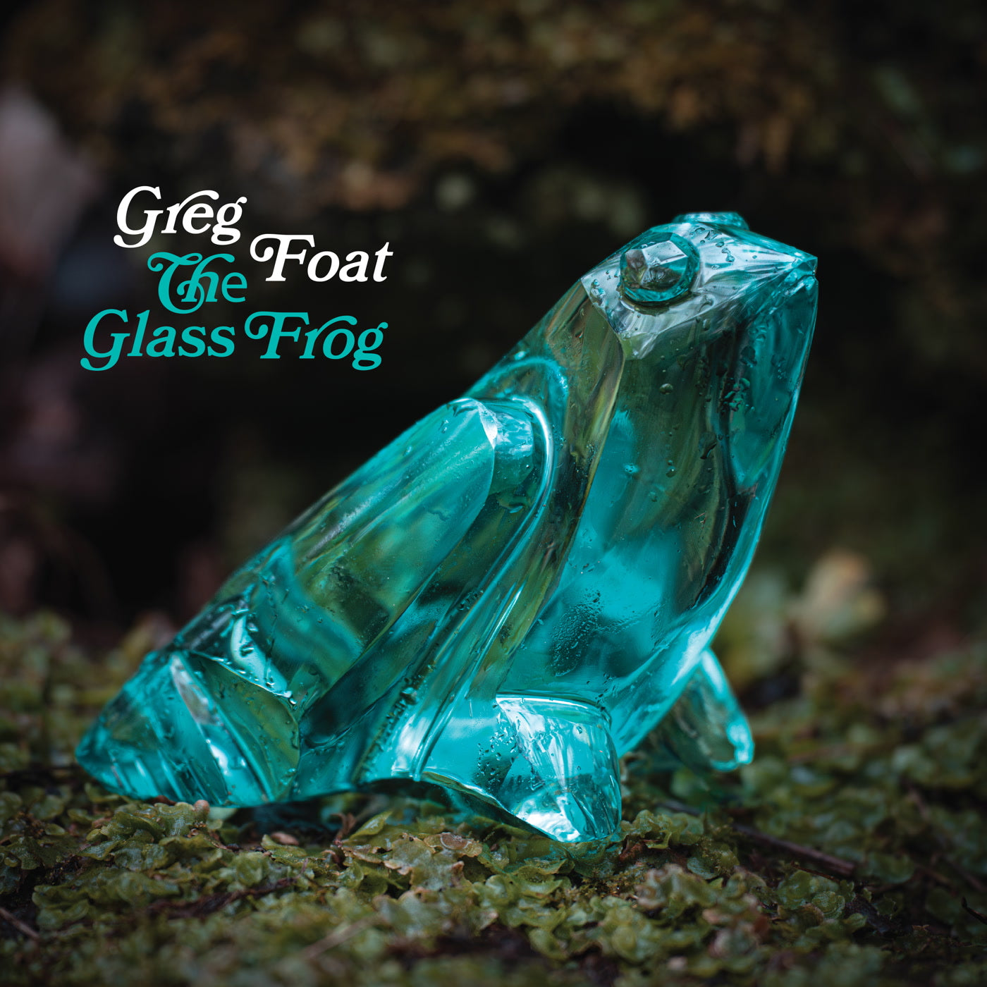 Greg Foat - The Glass Frog Vinyl LP album cover