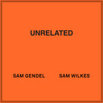 Sam Wilkes, Sam Gendel - Unrelated Vinyl LP album cover
