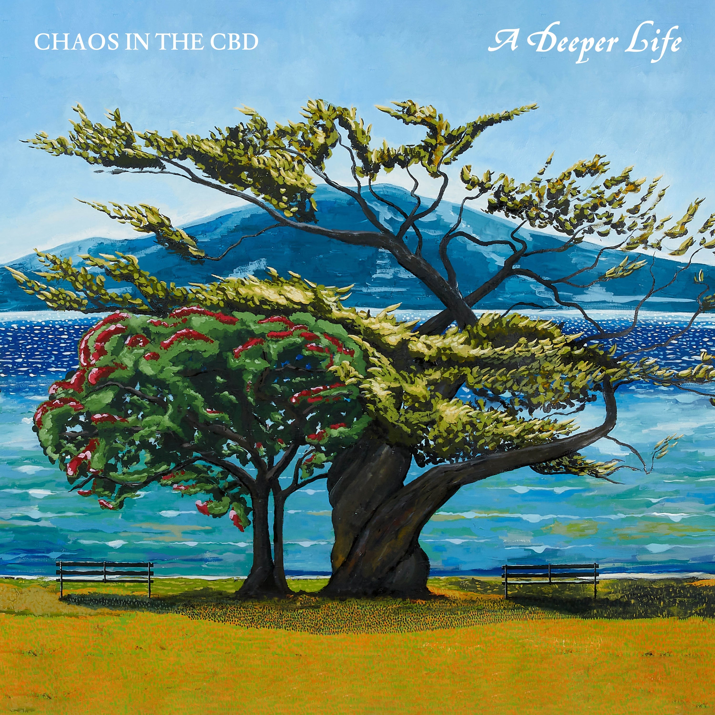 Chaos In The CBD - A Deeper Life Vinyl 2LP album cover