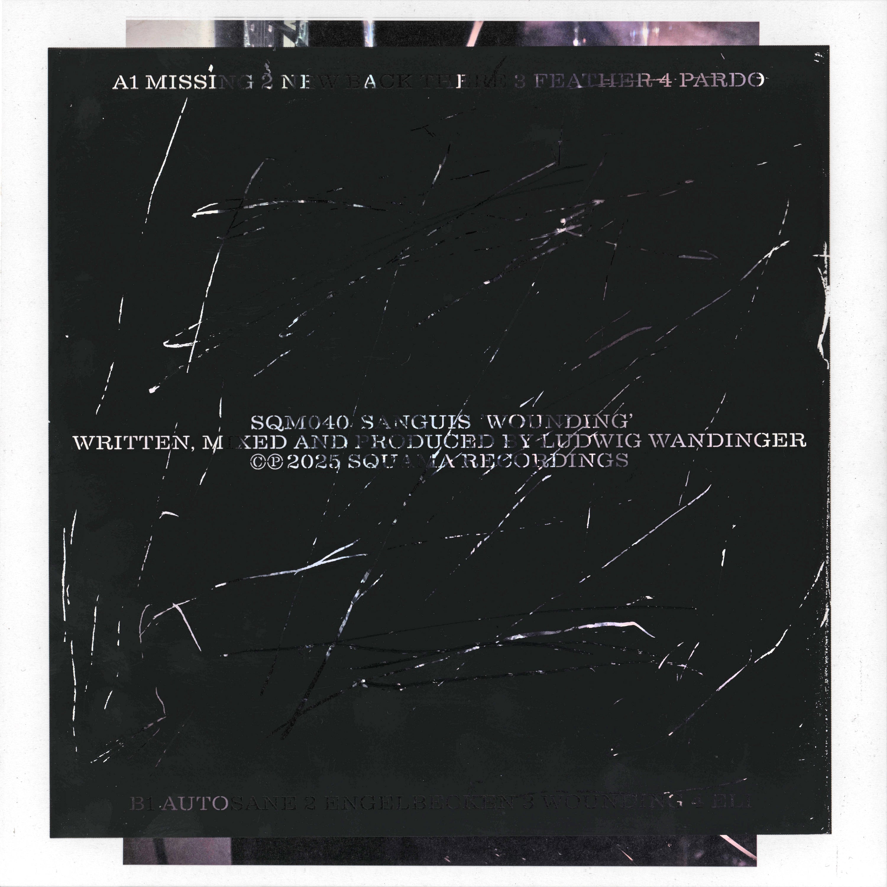 Sanguis - Wounding Vinyl LP album cover